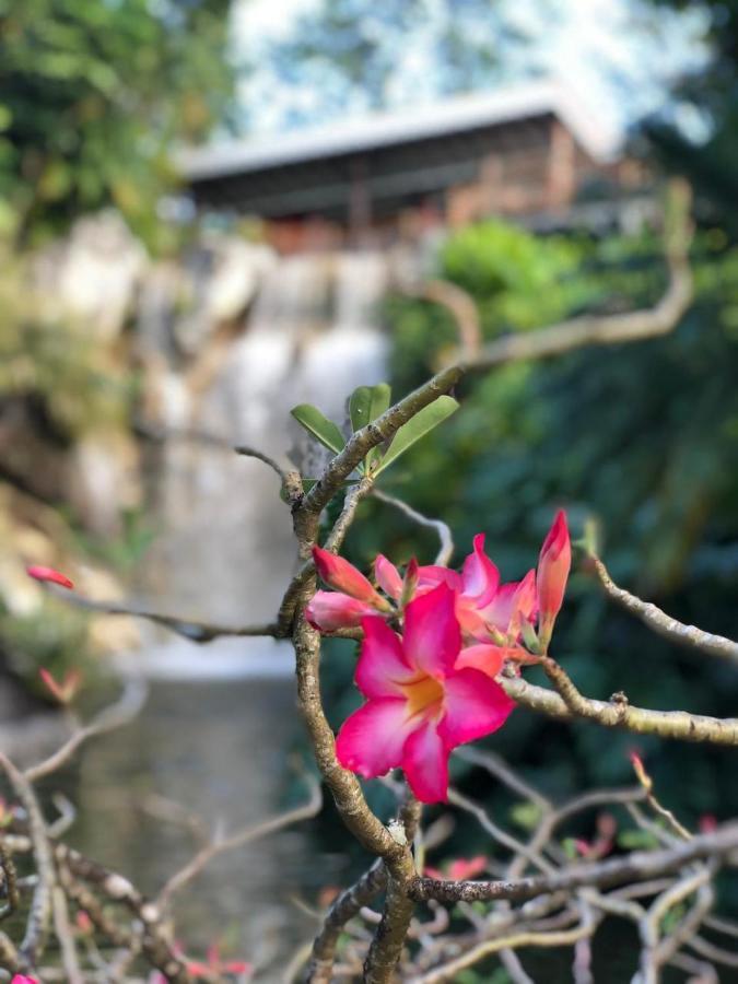 Jolie Petite Villa Sur Une Presqu'Ile Le Gosier  Zewnętrze zdjęcie
